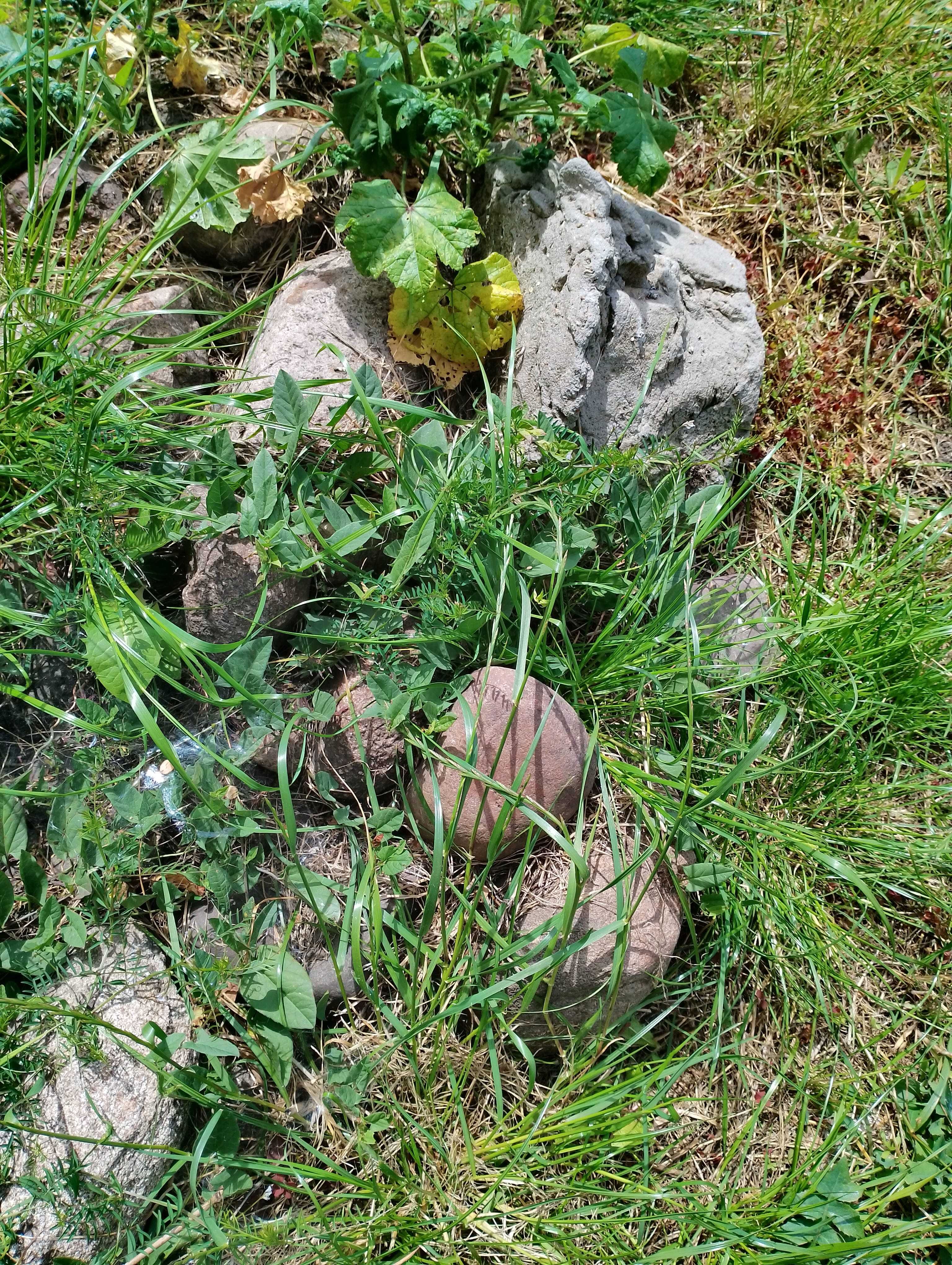 Kamienie oddam za darmo