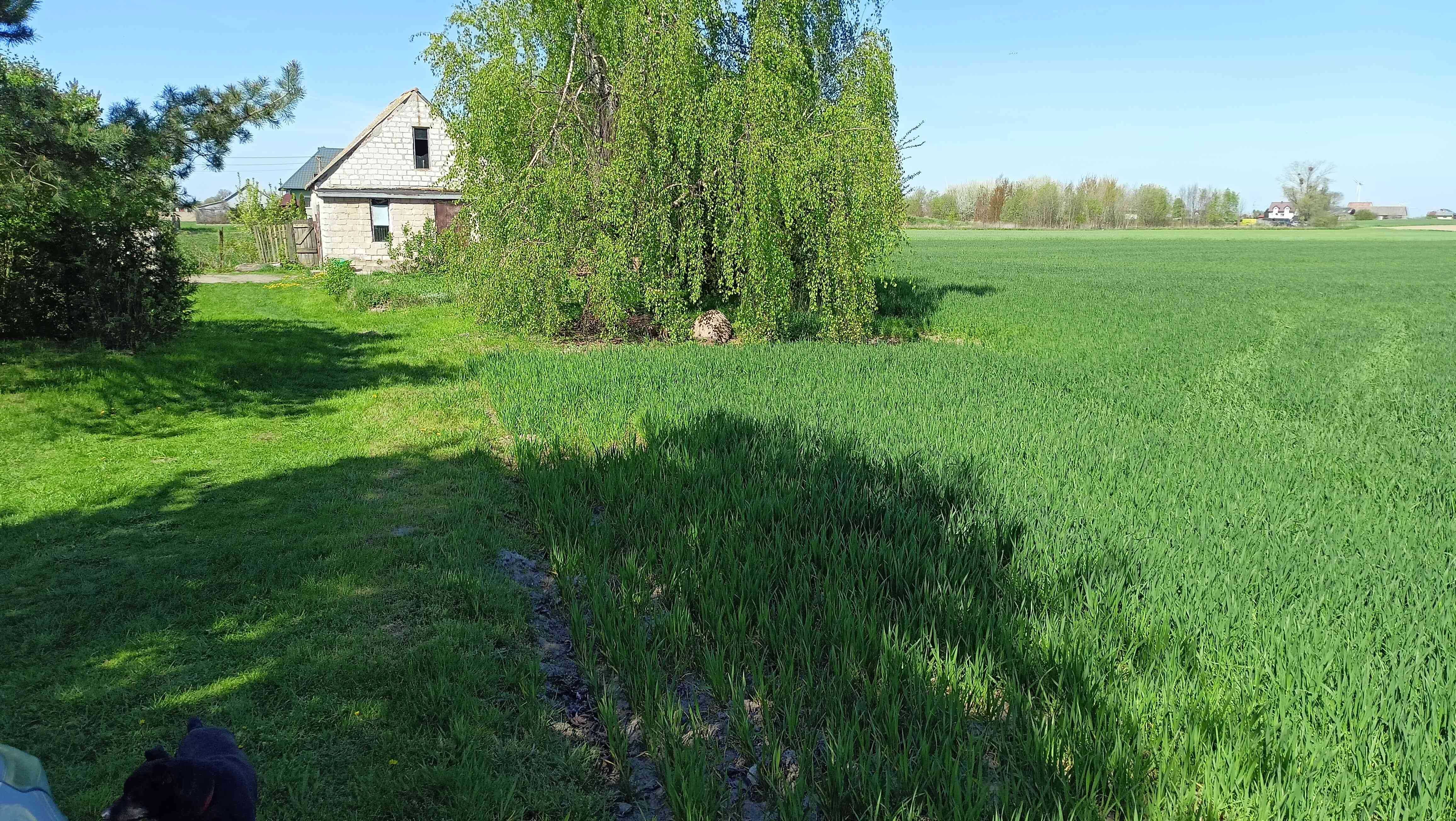 Sprzedam DOM z dużą działką