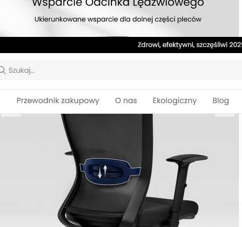 Krzesło Biurkowe Ergonomiczne BS3 (BS3)