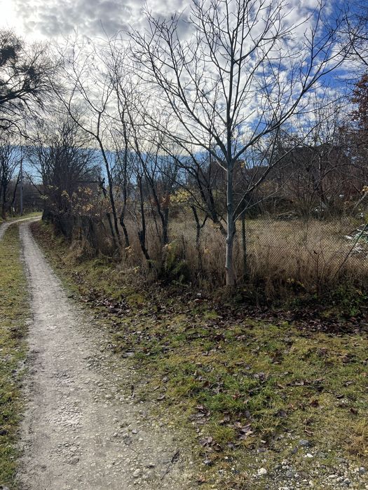 Продаж земельної ділянки 4.36 сот. в с. Липники ціна 9999$.