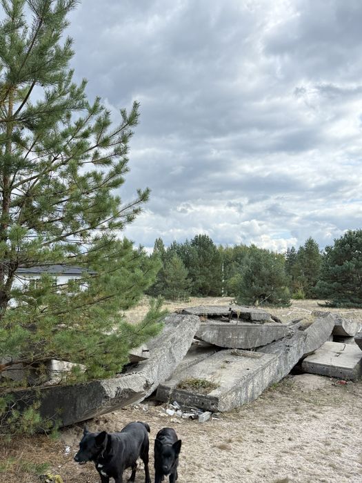 Продам блоки фундаментні 42 штуки