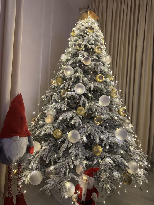 Ялинка Смерека ,лита-засніжена ,висота 2,10