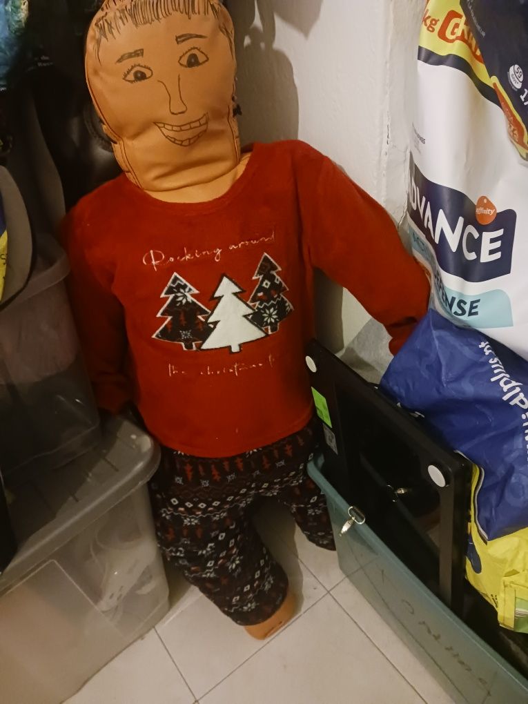Boneco de treino