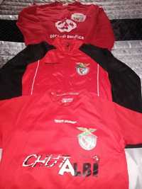 Equipamento Benfica Castelo Branco