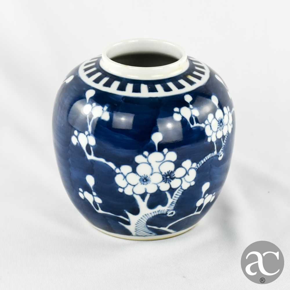 Pote ginjas Porcelana da China, Azul-Cobalto, Dec. Flor de Amendoeira