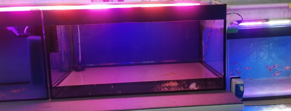 Akwarium 54l 60cmx30cmx30cm