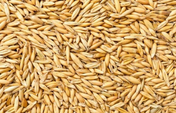 Пшениця Ячмінь Овес