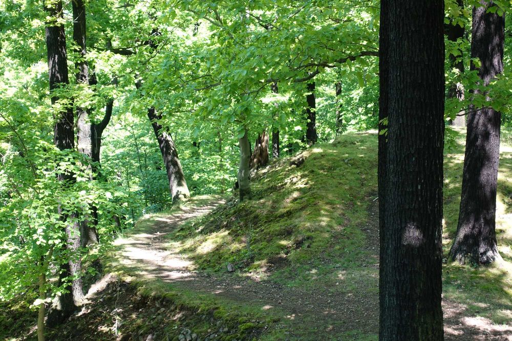 Kultowy SONY DSC RX100 M5