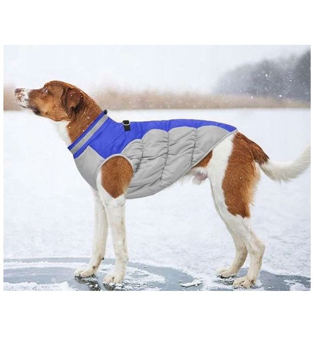 Kurteczka Ubranko Dla Psa Ciepła Odblaskowa Kolor Niebieski Rozm XXL