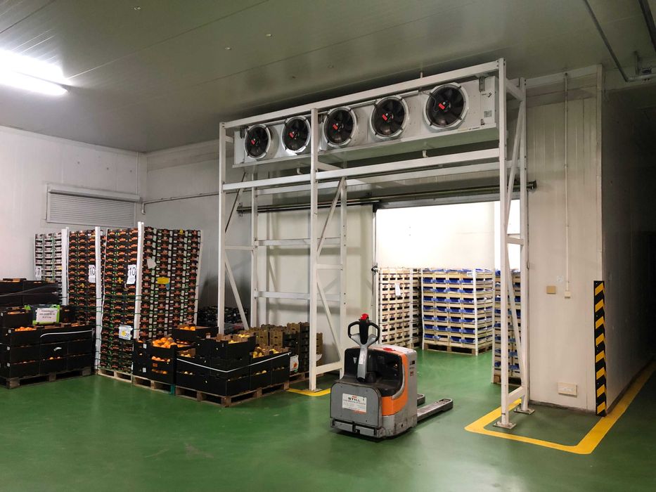 Chłodnia box 60m2 usługi magazyn komora Błonie Warszawa