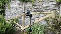Rama Rose Bonero 3 2023 S + stery