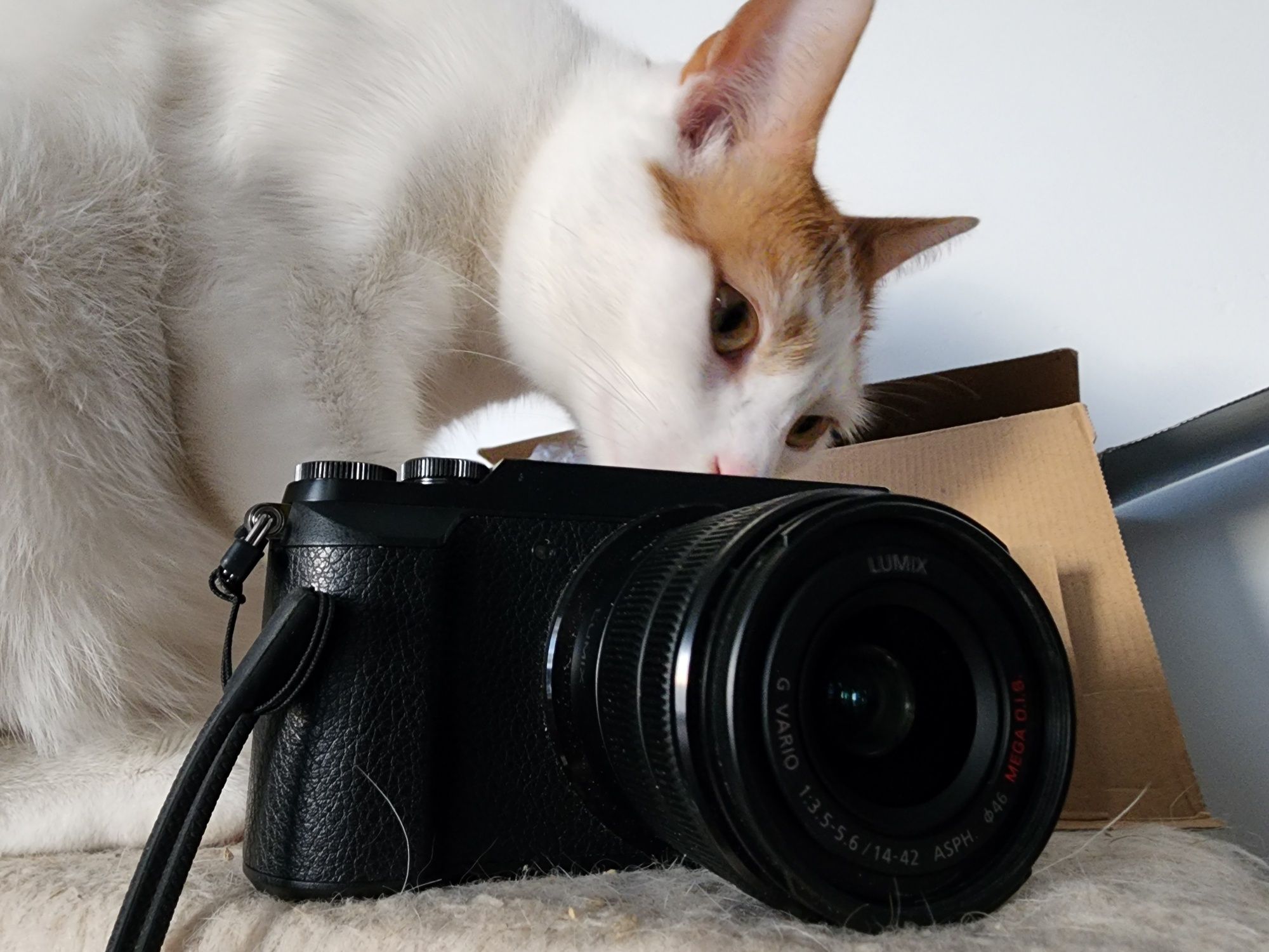 Aparat Panasonic gx80 + obiektyw 14-42mm