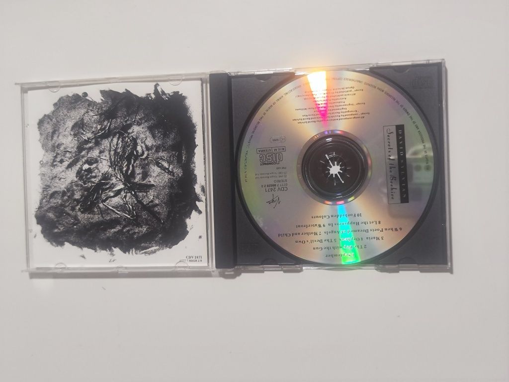 DAVID SYLVIAN Secrets of the Beehive