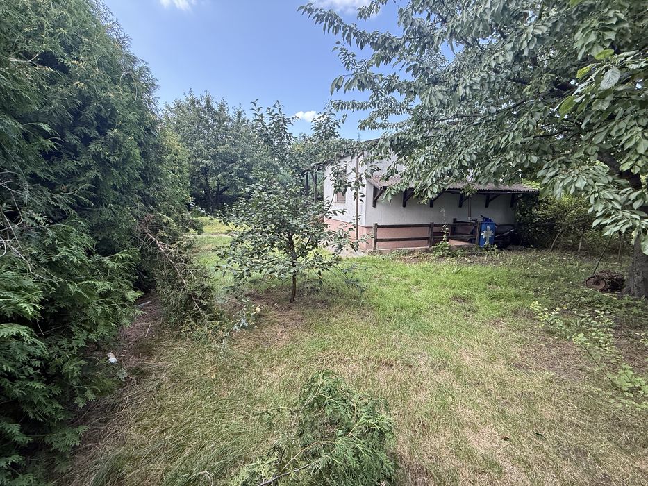 Dzialka ROD im. M. Palacza w Poznaniu