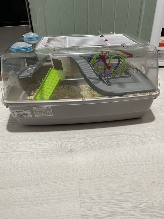 Продається клітка і два джонгарських хомяка