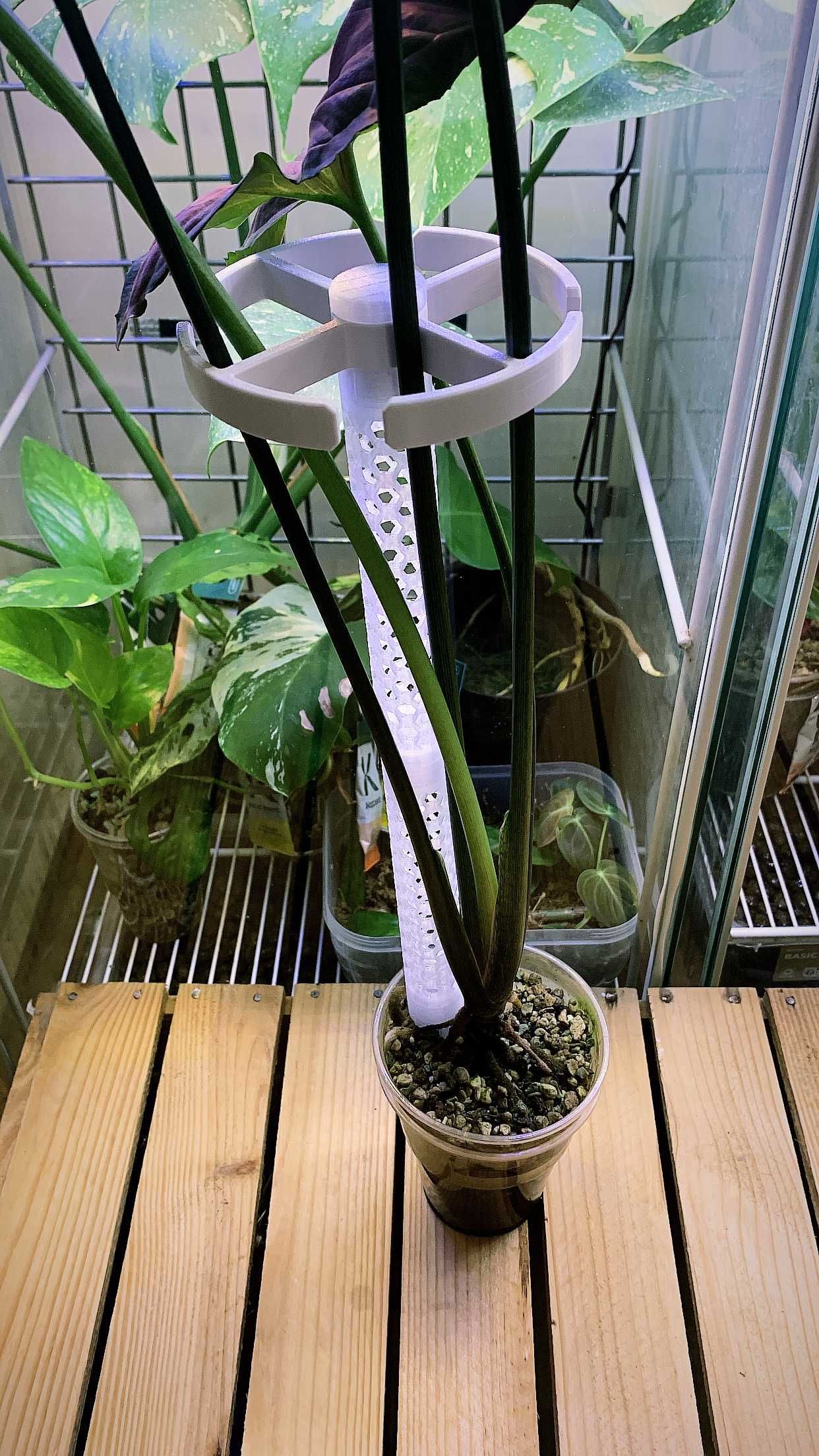 Moduł pierścieniowy do roślin - do palika 2,4 cm