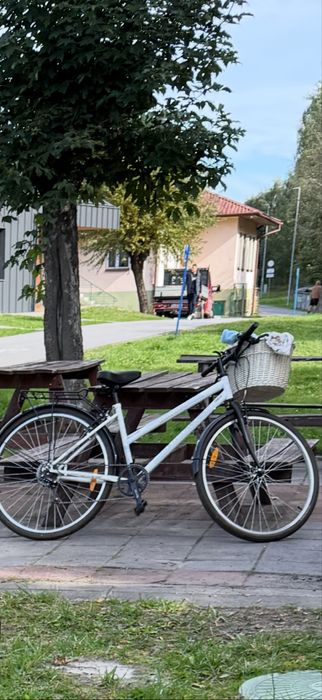 Rower damka , sprawny