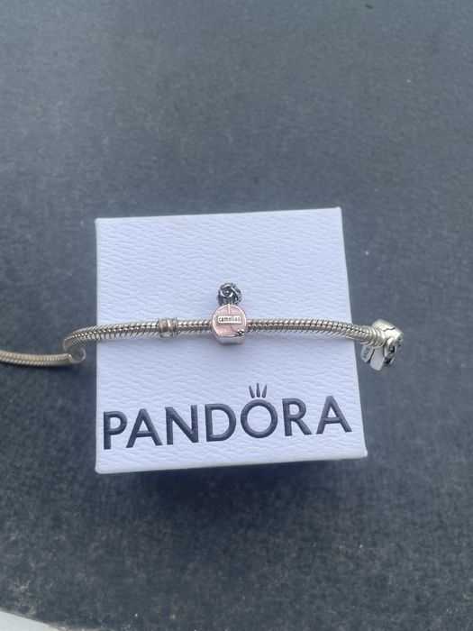 Pandora charms.  .