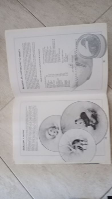Livro de pintura em cerâmica "Fantasie di animal"i