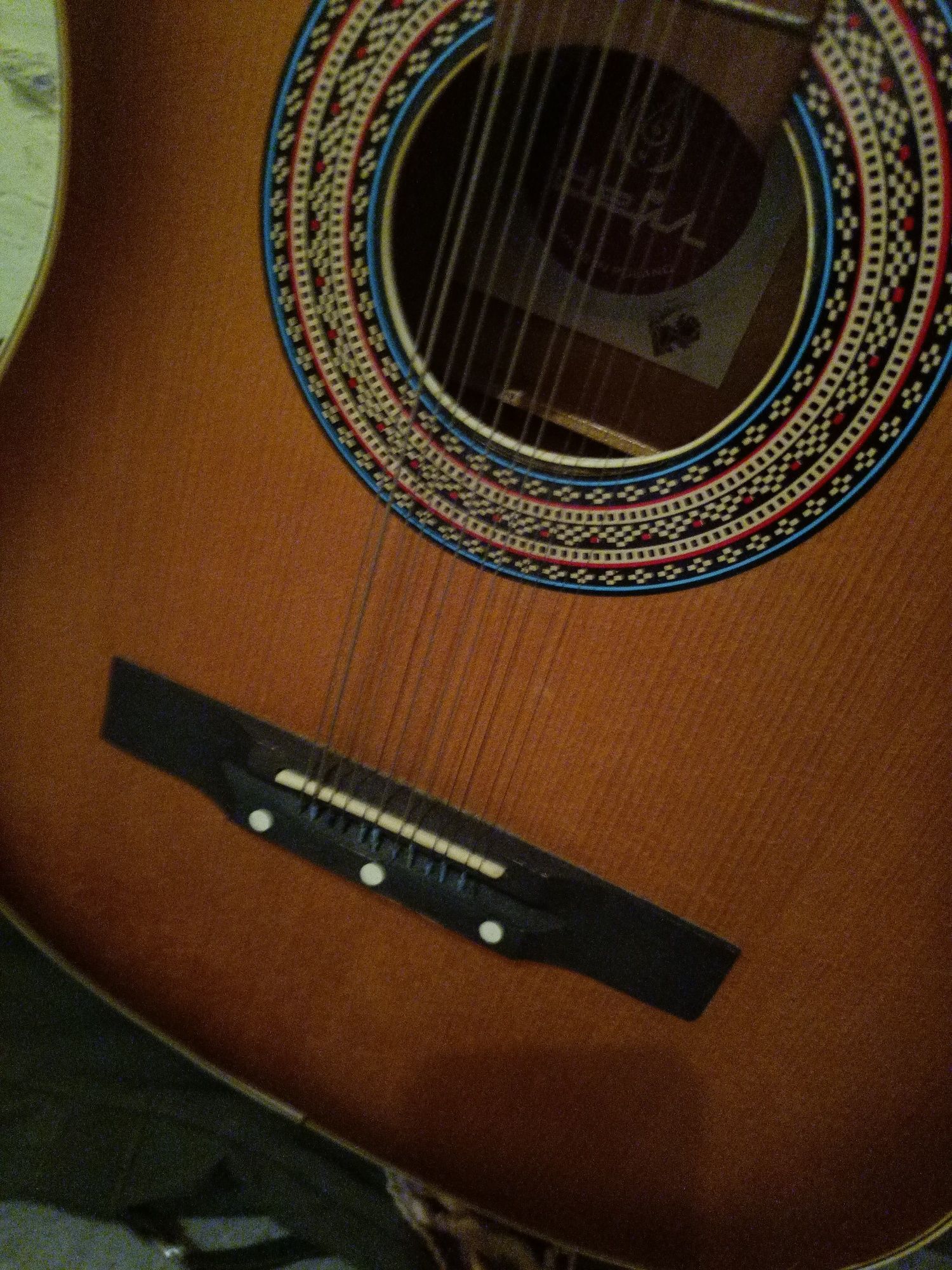 Gitara delfin 12 akustyczna