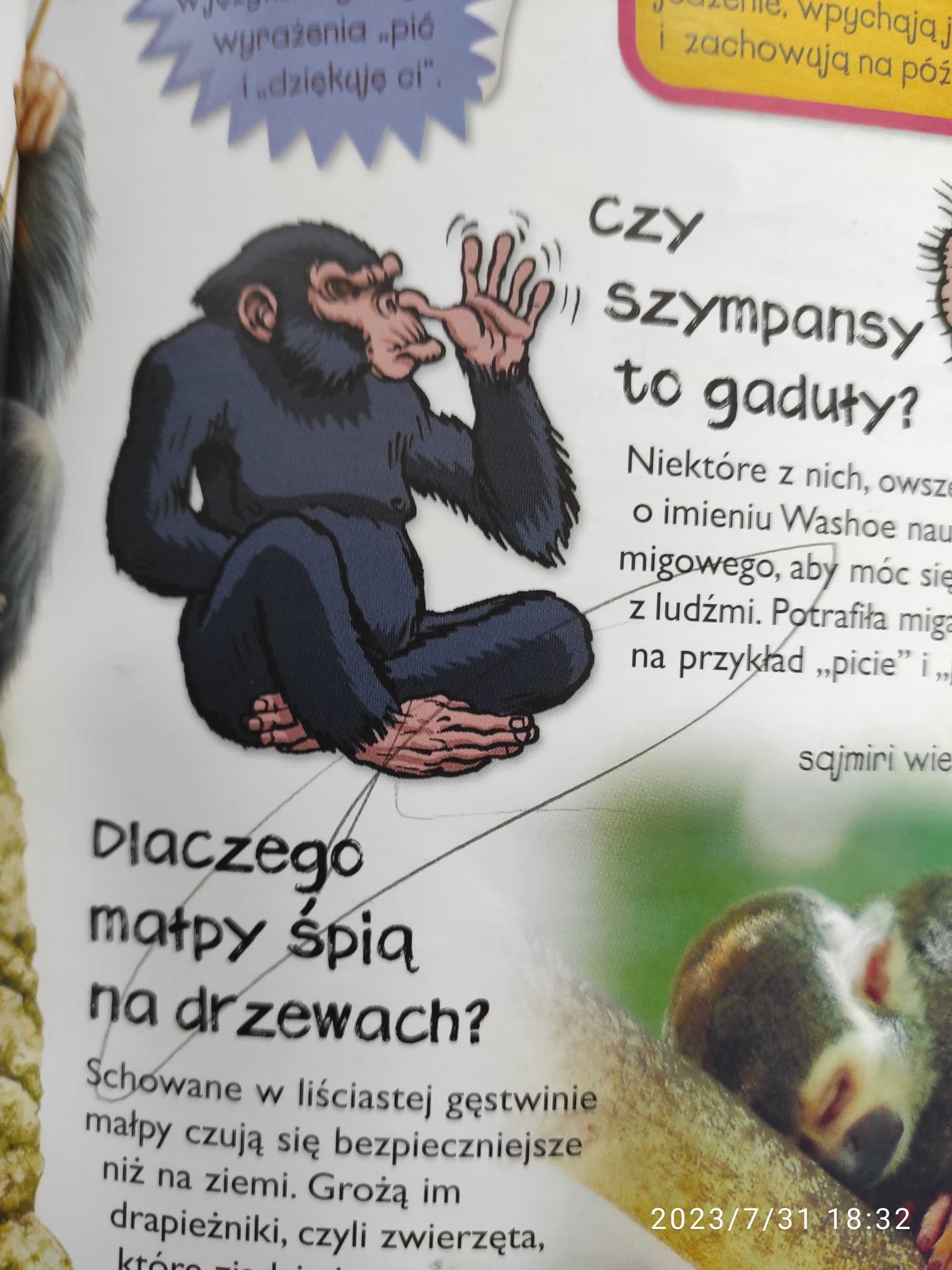 Zestaw książek dla dzieci, Zwierzęta