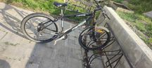 Rower mote Merida