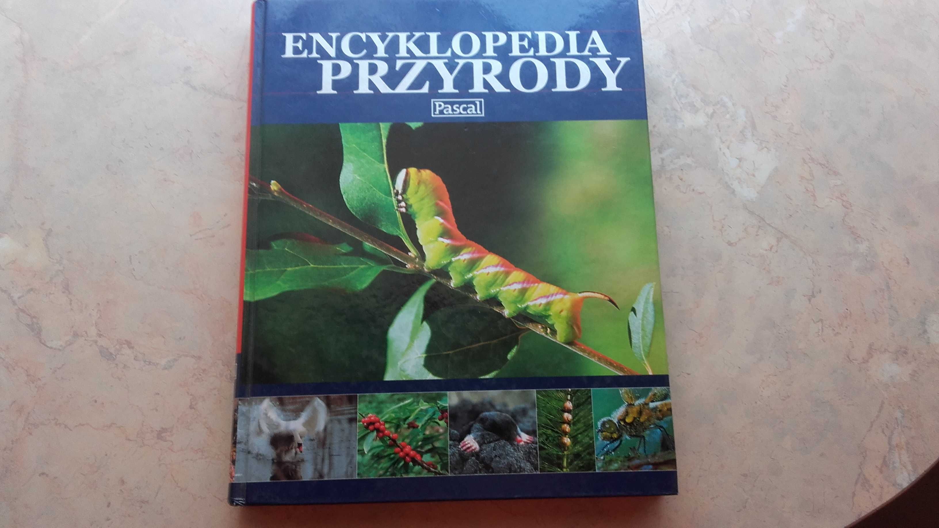 Książki Encyklopedie Polecam