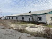 Здам ферму 828 м² с. Рови