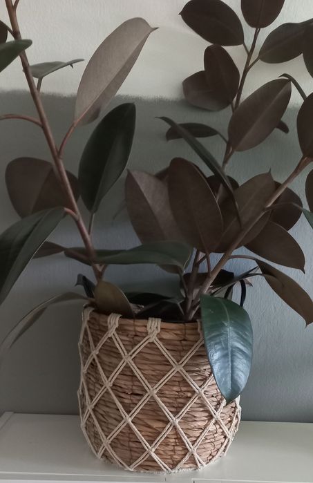 Kosz Samla Home and You