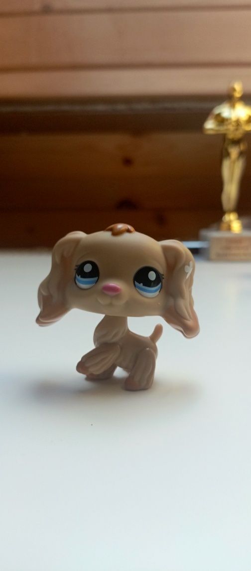 Lps spaniel Hasbro