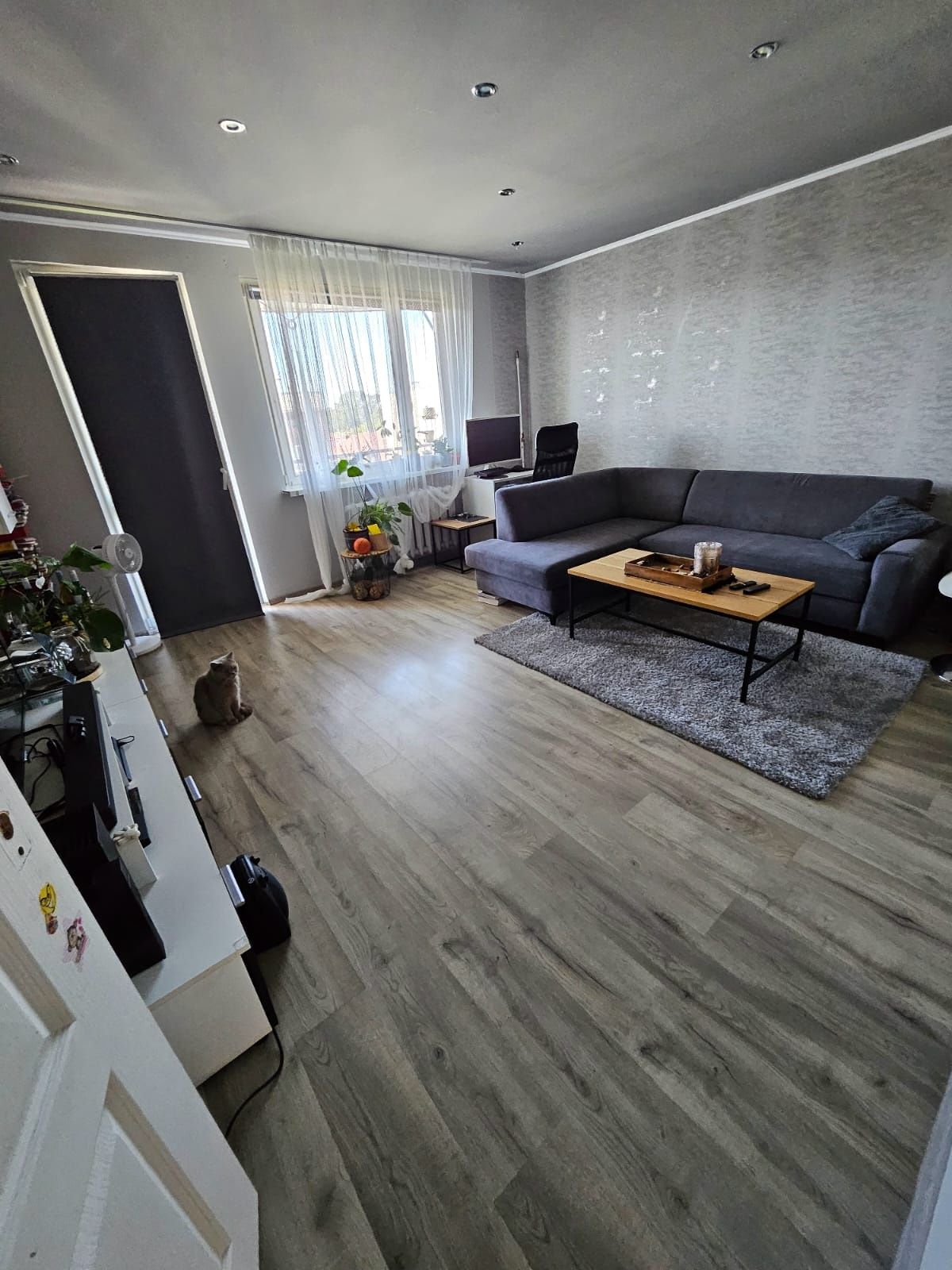 Mieszkanie 64m 3 pokoje Małachowskiego