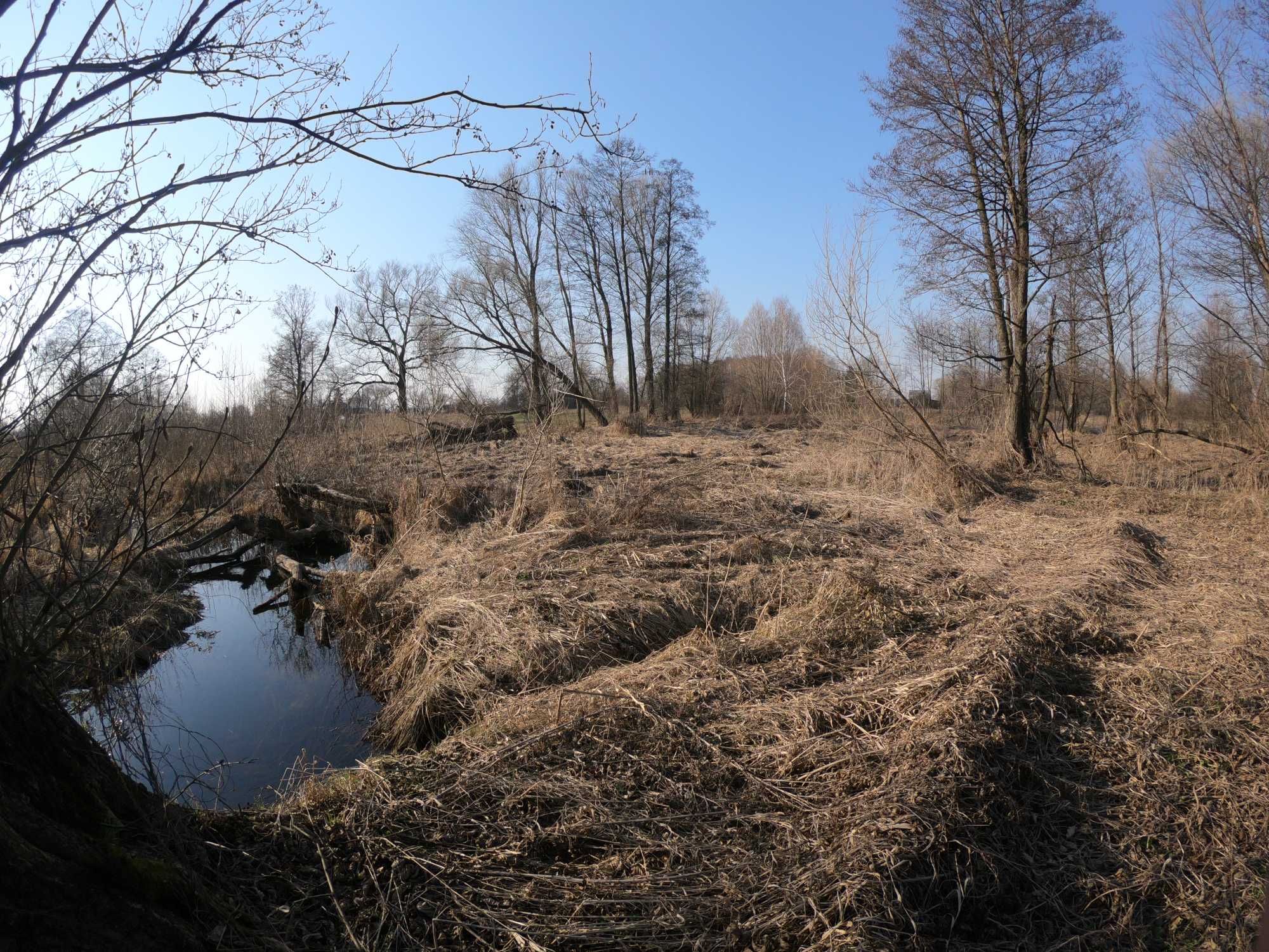 Будинок з великою ділянкою 35 соток, і струмком поряд