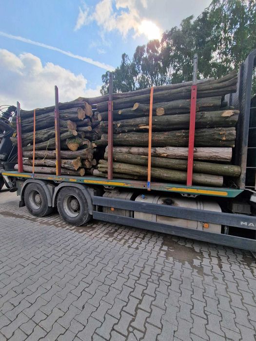 Grab, opał, drewno opałowe, kominkowe, wałki o długości 2,5m - 45 MP