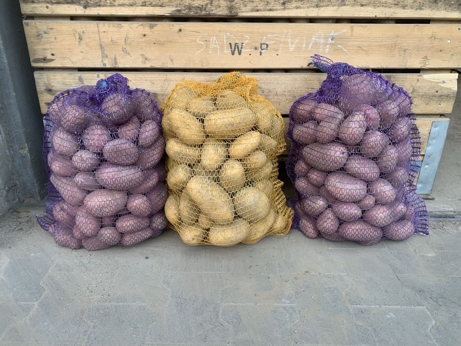 Ziemniaki na zimę - 3 odmiany, żółte