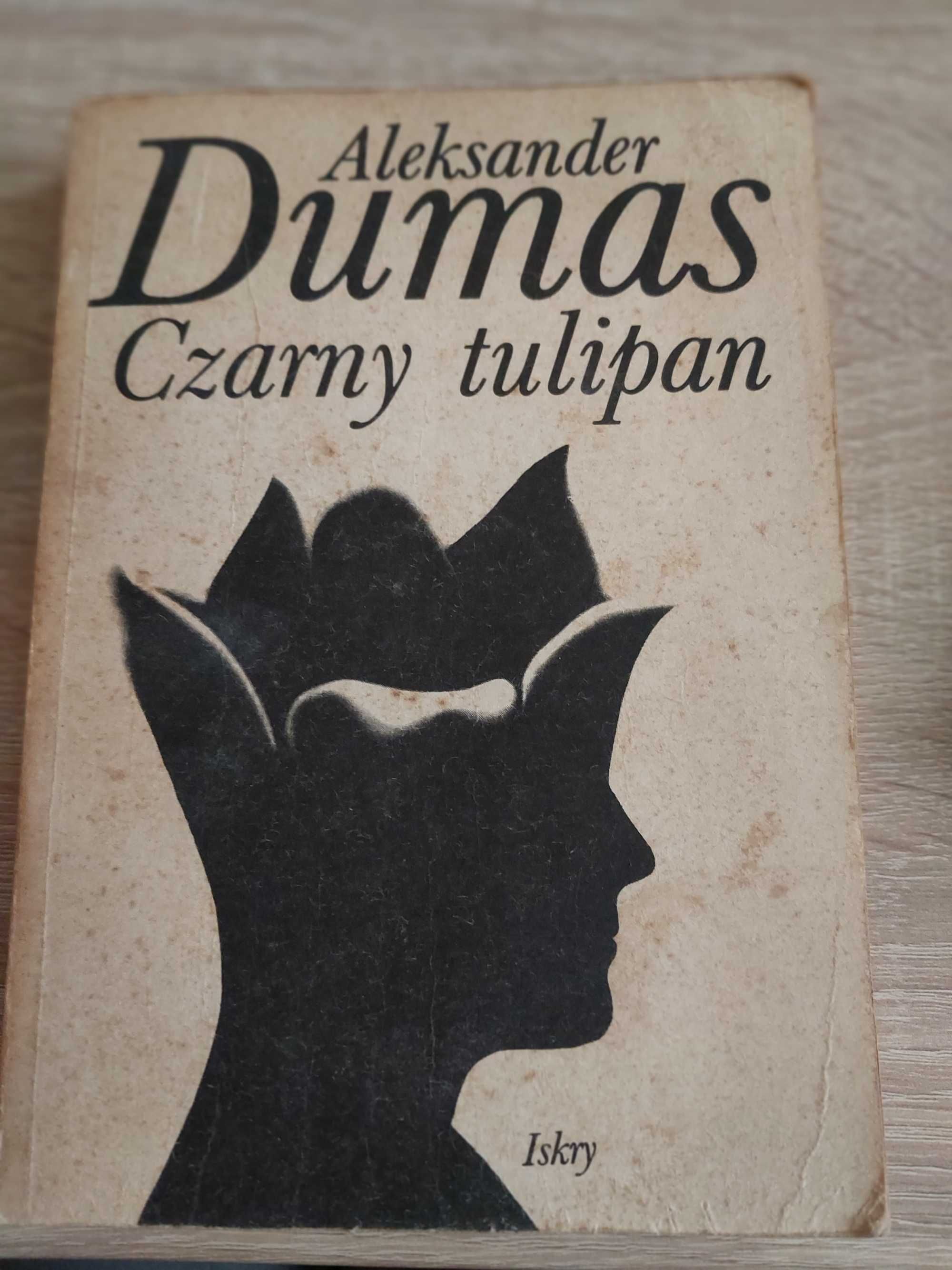 Czarny tulipan Dumas