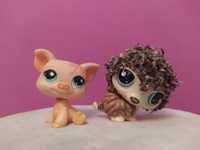 LPS Littlest Pet Shop G2 zestaw jeżyk i świnka