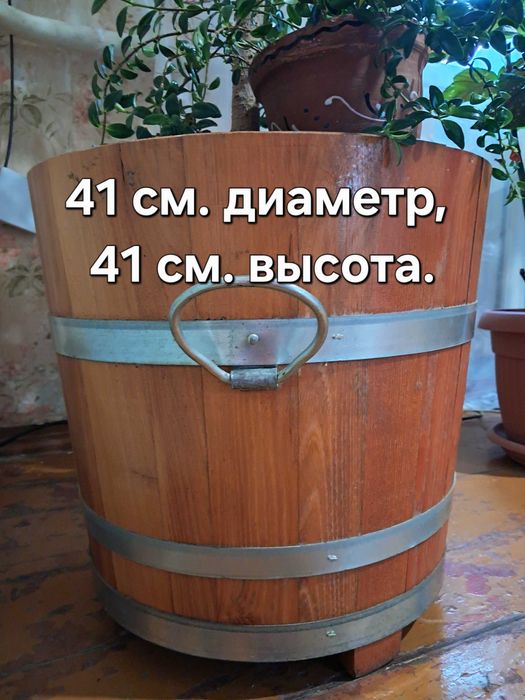 Фикус Бенджамина и кадки...