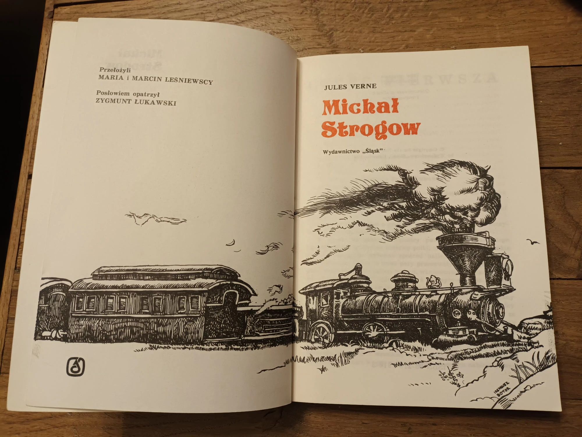 Książka Michał Strogow Jules Verne