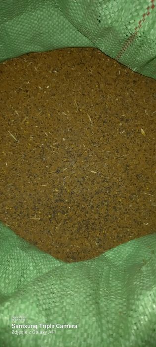 Facelia+gorczyca polna mieszanka na miododajna dla pszczół, na poplon