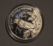 Moneta 20 zł, Świstak, 2006 r.