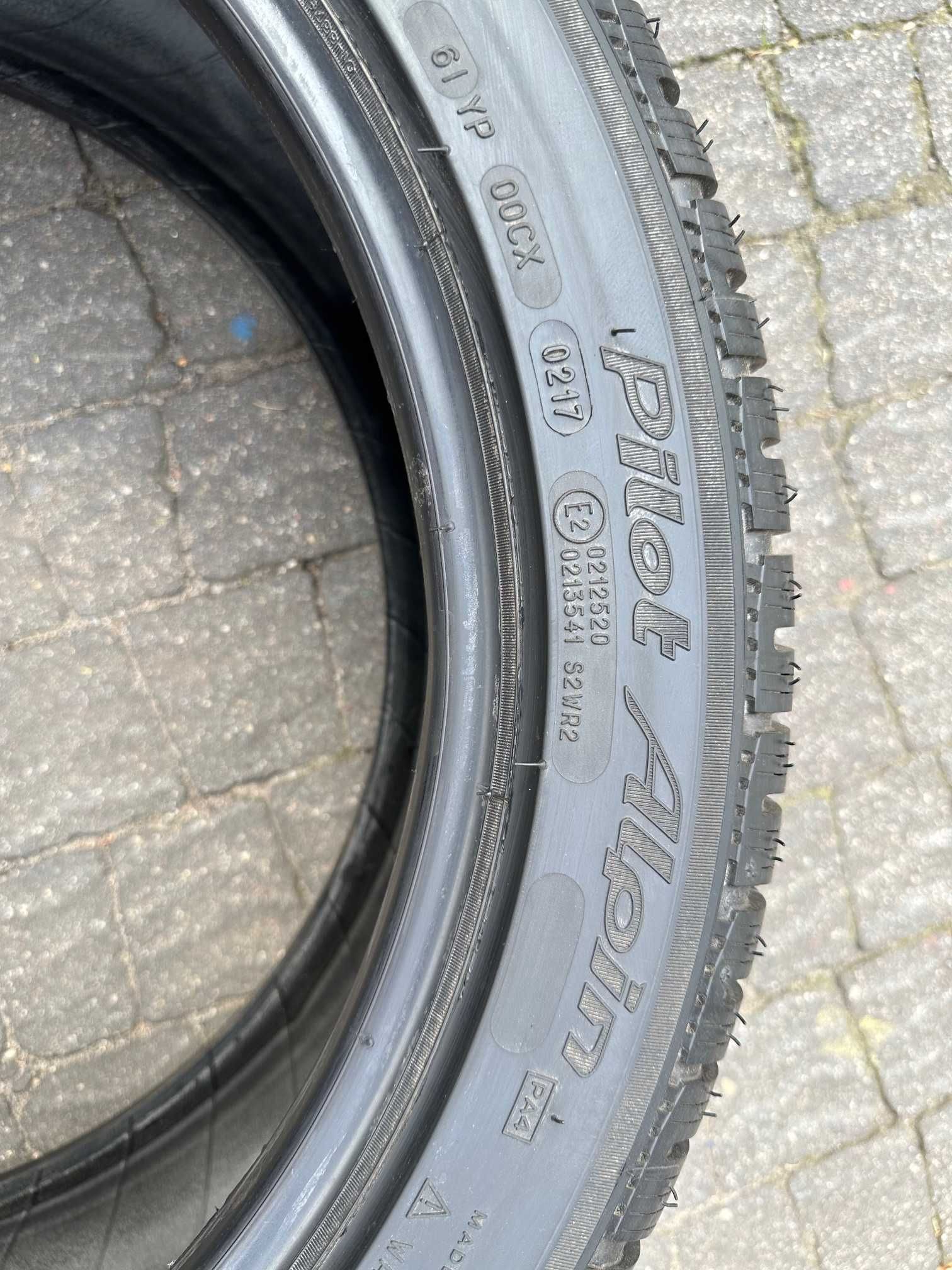 245/45R19 102W Michelin Pilot Alpin PA4 (830)