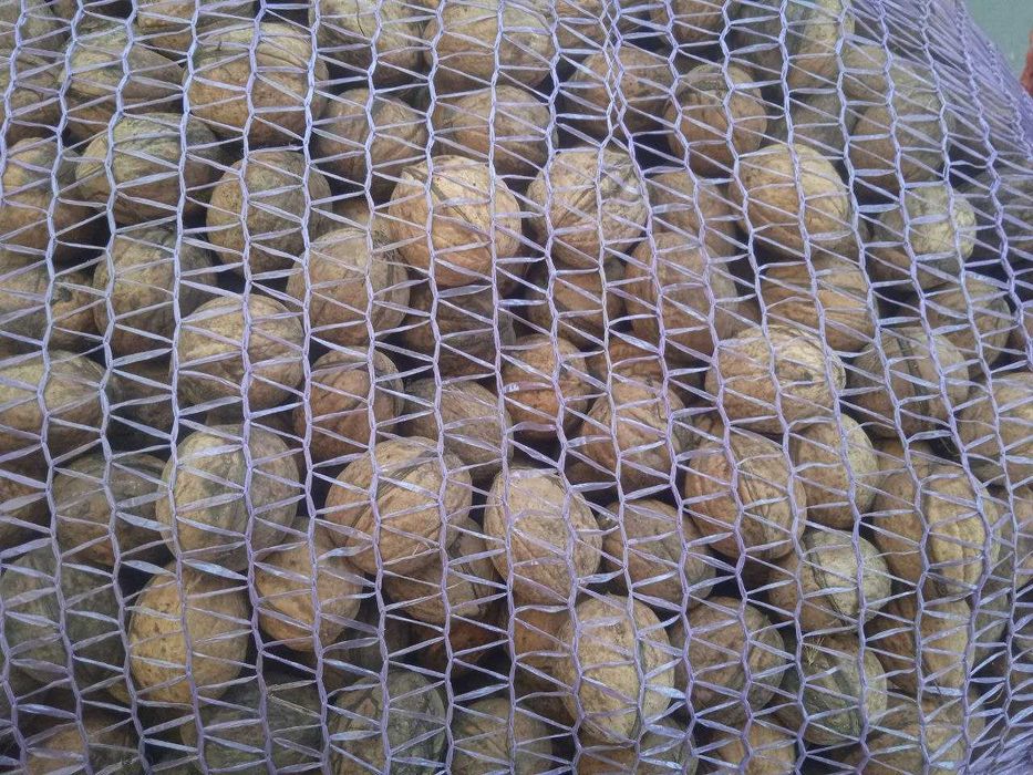 Волоські горіхи, не чищені