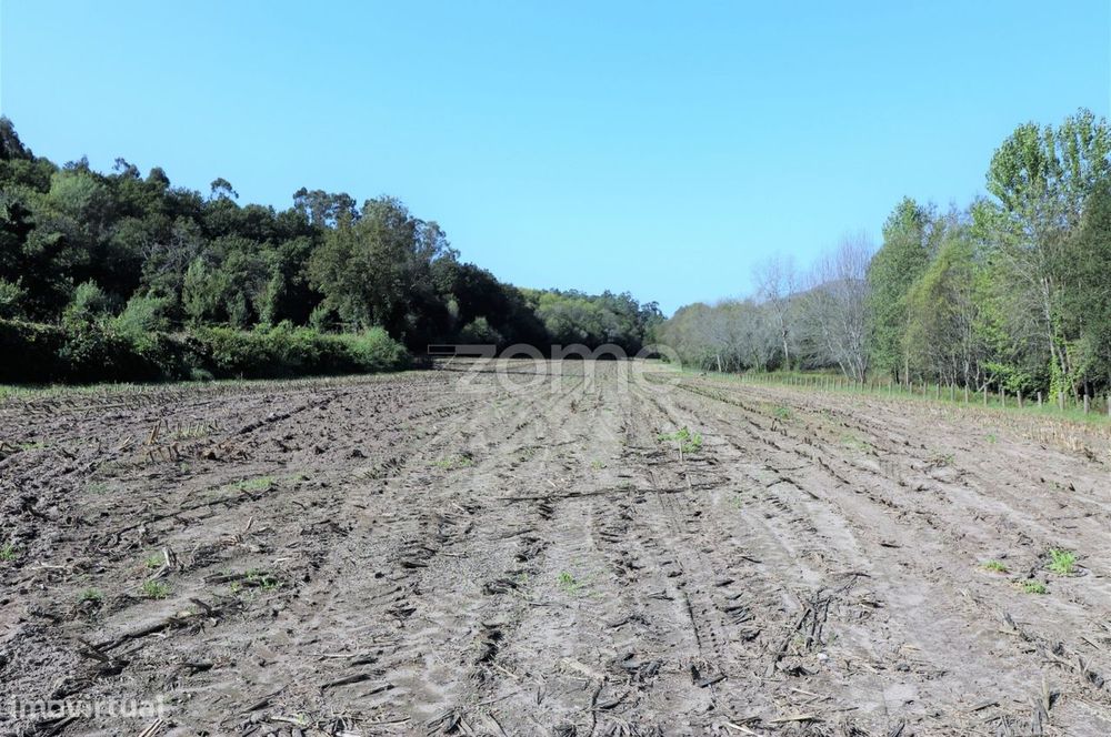 Quinta com casa para recuperar, junto ao rio Lima - Ponte da Barca
