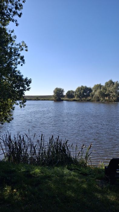Продам земельну ділянку 3,5 га.