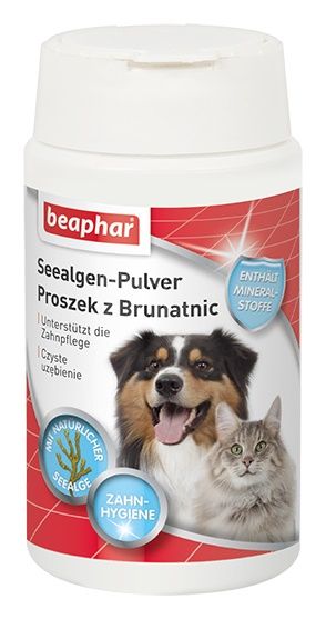 Beaphar Dental Power 75G Proszek Z Brunatnic