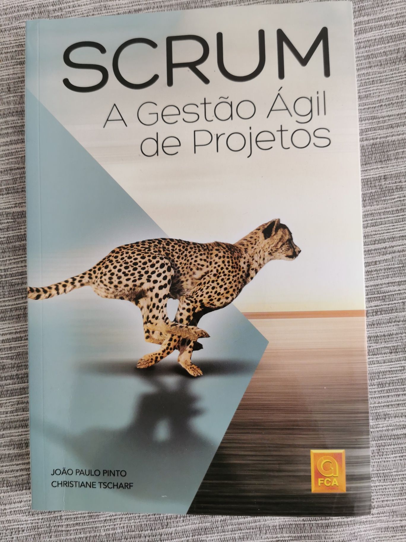 Scrum - A Gestão Ágil de Projetos (João Paulo Pinto/Christiane Tscharf