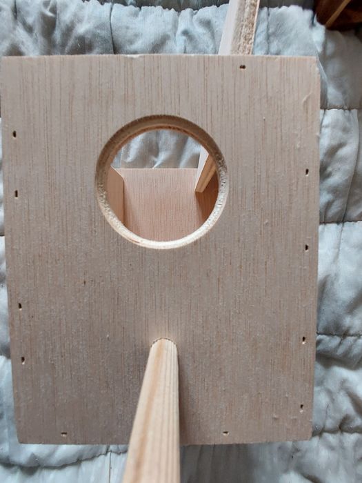 Ninho piriquito novo