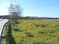 Terreno Rústico Arraiolos 15.000,00 Eur