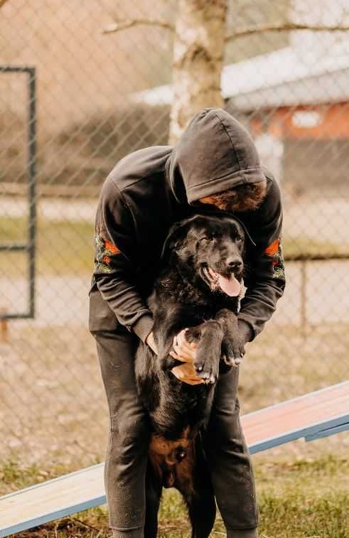 Czarne psy mają małe szanse na adopcję... Rocznemu Soto musi się udać!