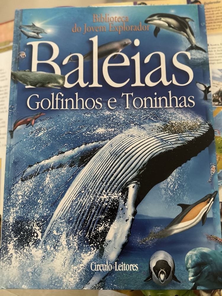 Biblioteca do jovem explorador